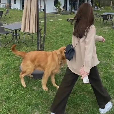 克鲁小丑的摇滚坏生活